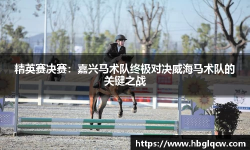 精英赛决赛：嘉兴马术队终极对决威海马术队的关键之战